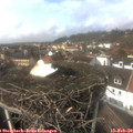 14_05-nest.jpg