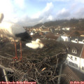 14_10-nest.jpg