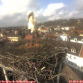 14_15-nest.jpg