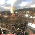 14_20-nest.jpg