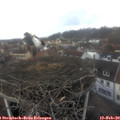 14_25-nest.jpg
