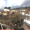 14_30-nest.jpg