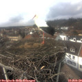 14_35-nest.jpg