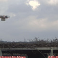 14_40-mast.jpg