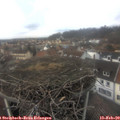 14_40-nest.jpg