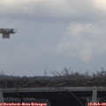 14_50-mast.jpg