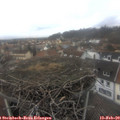 14_50-nest.jpg