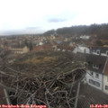 14_55-nest.jpg