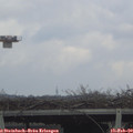15_00-mast.jpg