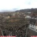15_00-nest.jpg