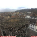 15_05-nest.jpg
