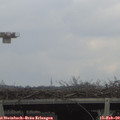 15_10-mast.jpg