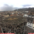 15_10-nest.jpg