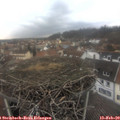 15_15-nest.jpg