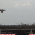 15_20-mast.jpg