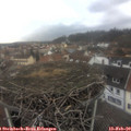 15_20-nest.jpg