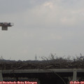 15_25-mast.jpg