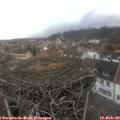 15_25-nest.jpg