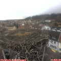 15_35-nest.jpg
