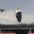 15_40-mast.jpg