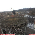 15_45-nest.jpg