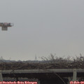15_55-mast.jpg