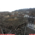 15_55-nest.jpg