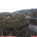 16_00-nest.jpg