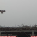 16_05-mast.jpg
