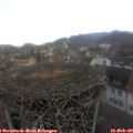 16_05-nest.jpg
