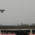16_10-mast.jpg