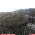 16_10-nest.jpg