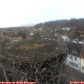 16_15-nest.jpg