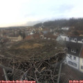 16_20-nest.jpg