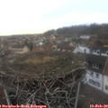 16_25-nest.jpg