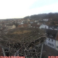 16_30-nest.jpg