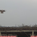 16_35-mast.jpg