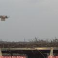16_40-mast.jpg