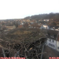 16_45-nest.jpg