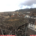 17_05-nest.jpg