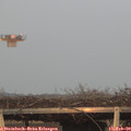 17_15-mast.jpg