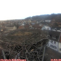 17_15-nest.jpg