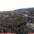 17_20-nest.jpg