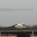 07_40-mast.jpg