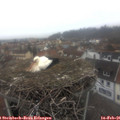 07_40-nest.jpg