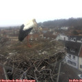 08_00-nest.jpg
