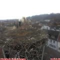 08_25-nest.jpg