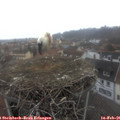 08_30-nest.jpg