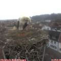 08_45-nest.jpg