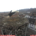 08_55-nest.jpg